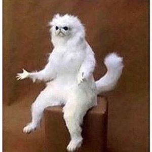 Meet your Posher, Owen